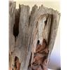 Image 3 : Large hand carved elephant sculpture from natural tree trunk-58"
