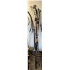 Image 2 : 3-Pcs Tree Pruners and Saw