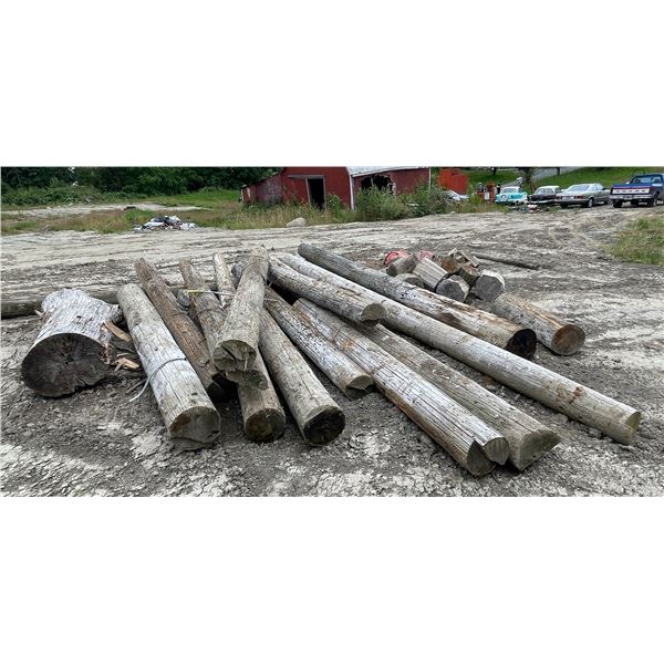 Group of Wooden Logs