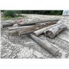 Image 2 : Group of Wooden Logs