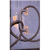 Image 3 : Conway PS-1 Regulated Power Supply