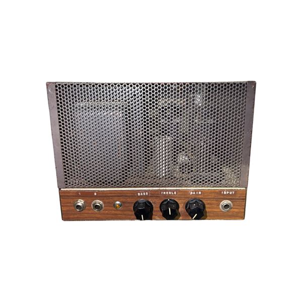 Dynaco Tube-Based Guitar or Instrument Amplifier Head