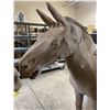 Image 5 : Life-Size Terracotta Warhorse Statue - Approx. H70" x L80" x W20"
