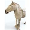 Image 5 : Life-Size Terracotta Warhorse Statue, Approx. H68" x L80" x W20"