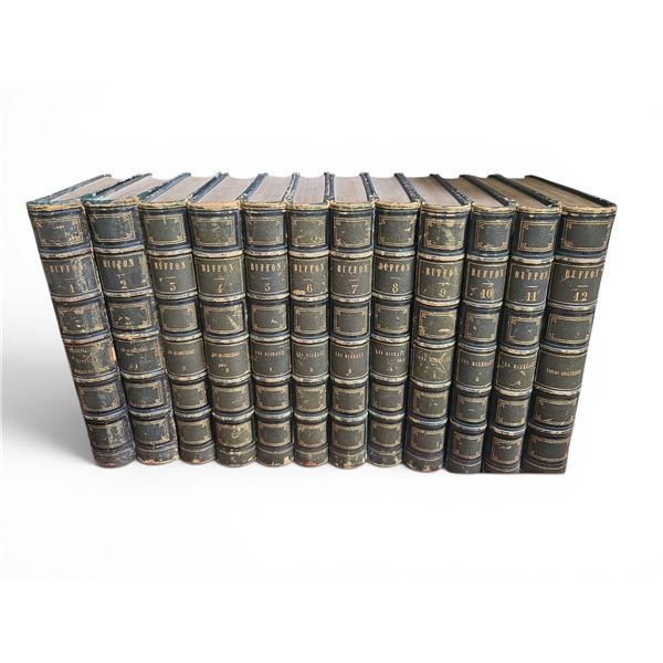 Antique French Leather Buffon Volumes (12) - Natural History, 19th Century