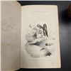 Image 4 : Antique French Leather Buffon Volumes (12) - Natural History, 19th Century
