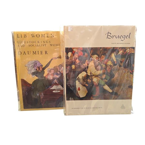 Art History Book Set - Bruegel & Daumier Lib Women