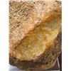 Image 2 : Naturally Formed Stone, Approx. 3" x 5" x 4"