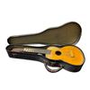 Image 1 : Vintage Acoustic Guitar with Hard Carrying Case (Missing Strings)