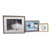 Image 1 : Group of 3 - Portrait of a cat 15x19, Cat Portrait & Portrait of cat- Pichtner