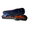 Image 1 : Violin with Bow in Hard Case