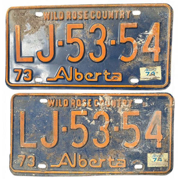 Pair of Vintage Alberta Wild Rose Country License Plates LJ 53 54