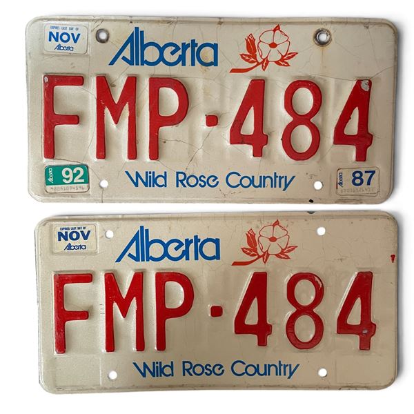 Pair of Vintage Alberta Wild Rose Country License Plates FMP 484