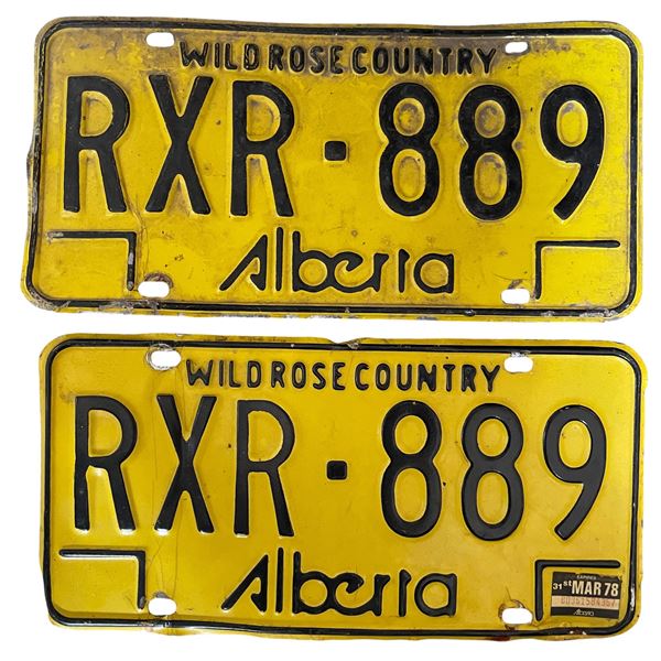 Pair of Vintage Alberta Wild Rose Country License Plates RXR 889