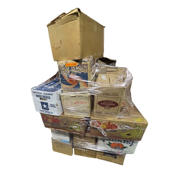Pallet of Electronic and Varied Books and Magazine