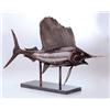 Image 1 : Museum Sailfish
