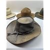 Image 3 : Assortment of Cowboy Hats