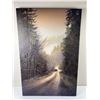 Image 1 : Canvas Forest Print