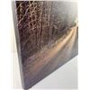 Image 2 : Canvas Forest Print