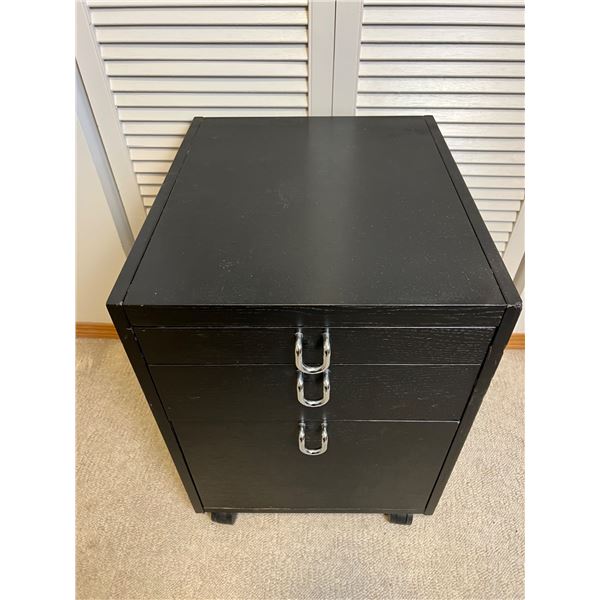 Storage Cabinet on Wheels