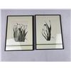 Image 1 : Tulip Watercolour Artwork