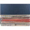 Image 2 : Record Lot