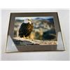Image 1 : Bald Eagle Photography