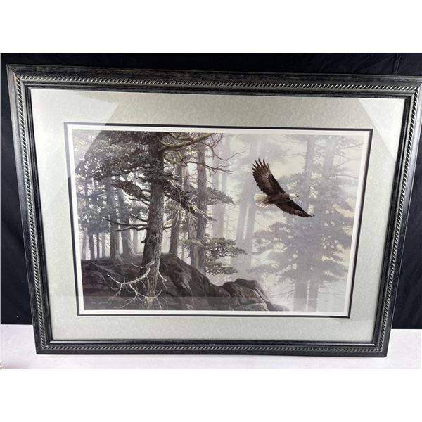Alan Sakhavarz Bald Eagle Art Print