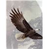 Image 3 : Alan Sakhavarz Bald Eagle Art Print