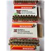 Image 5 : Winchester Cartridge Casings