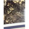 Image 3 : Alan Sakhavarz Art Prints