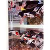Image 5 : Collection of Raceway Posters