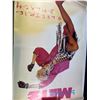 Image 10 : Assortment of Band Posters