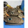 Image 4 : Duck Decoys
