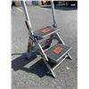 Image 2 : LITTLE GIANT STEP LADDER