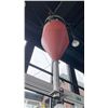 Image 12 : 3PC COMMERCIAL FEEDING SYSTEM WITH MIXING HOPPER AND CHORE-TIME STRETCH FLEX AUGER, ENGL GRAIN MILL