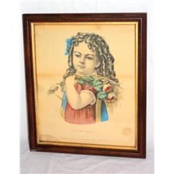 Vintage Framed Print  " Little Daisy "