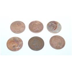 Lot of 6 Indian head pennies