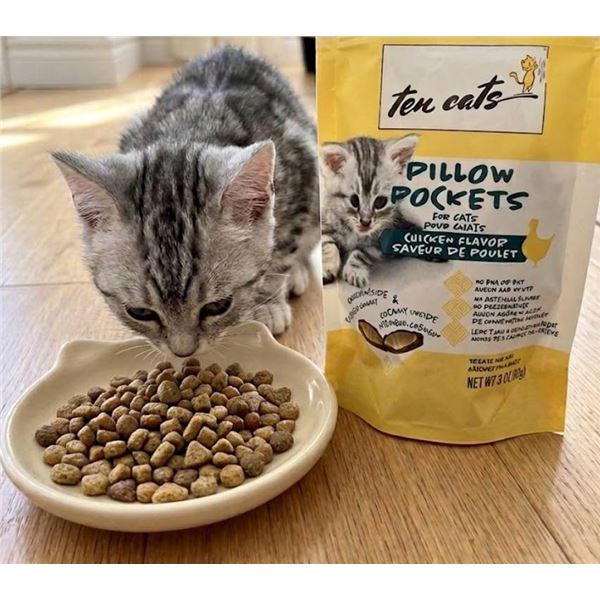 Ten Cats Pillow Pockets Cat Treats 4 x 85g