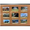 Image 3 : Prextex Safari Animals 9-Piece Set