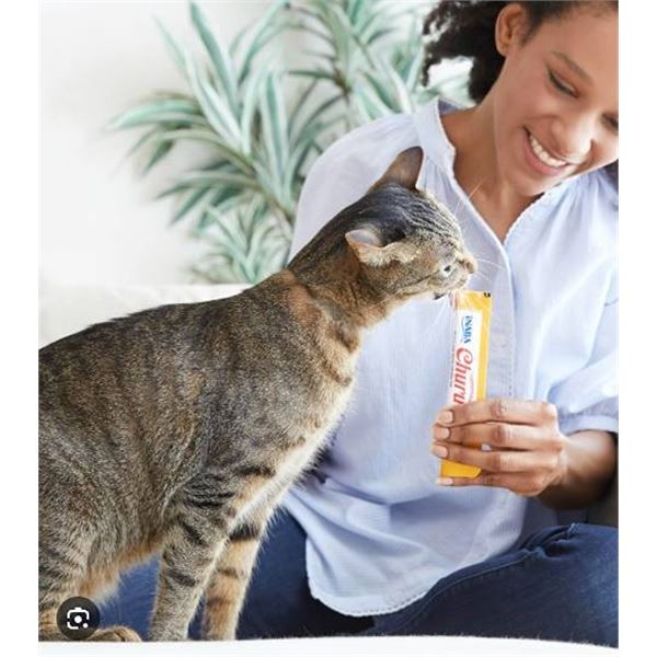 INABA Churu Cat Treats, Lickable, Squeezable Creamy Purée Cat Treat - 60 TUBES