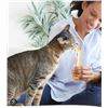 Image 1 : INABA Churu Cat Treats, Lickable, Squeezable Creamy Purée Cat Treat - 60 TUBES