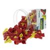 Image 1 : IDEAL WingTwist Wire Connectors 150 pk