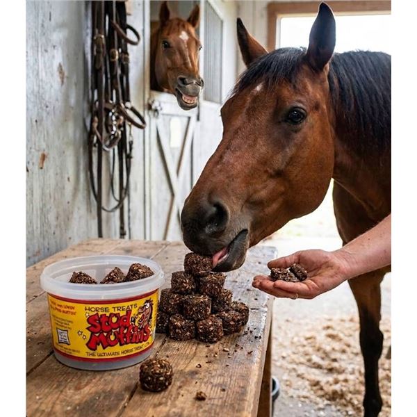 Stud Muffins Horse Treats, Lot of 6