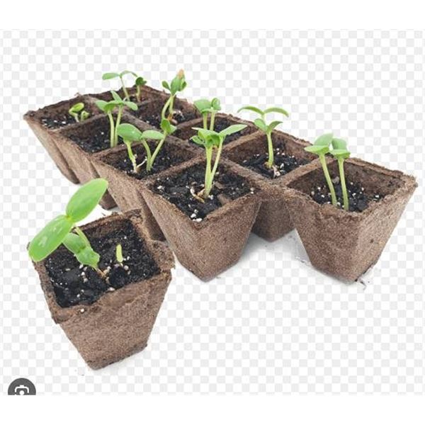 12 Jiffy-Strips 10 Plant Starters