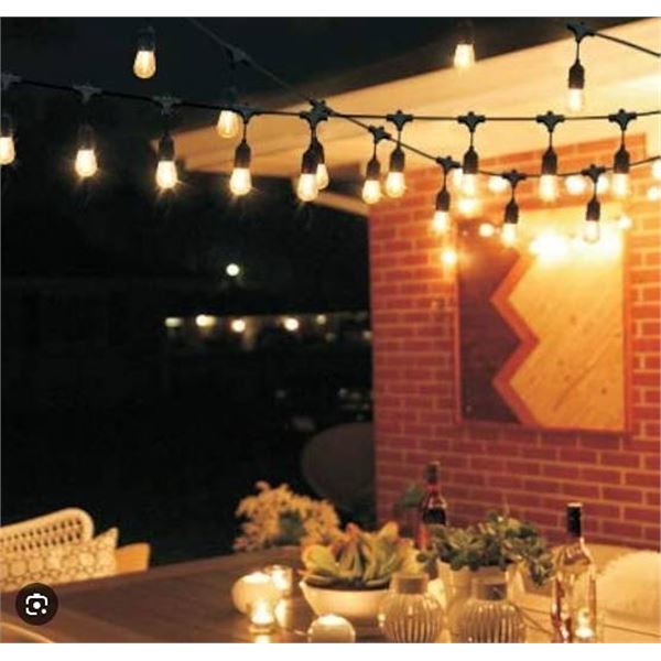 Feit Electric LED String Lights, 48 ft