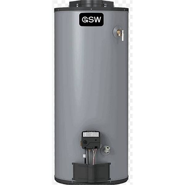 GSW G6-40S40P-AV 40 Gallon Propane Water Tank