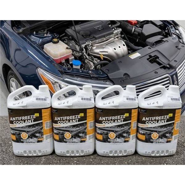 4 Antifreeze Coolant 3.78L Jugs