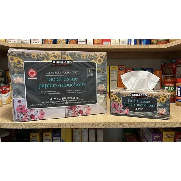 Kirkland Signature Facial Tissue 12-Pack
