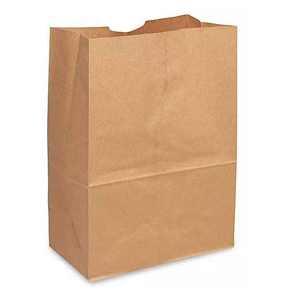 Paper Grocery Bag  12x7x17 DD50  500 Pack